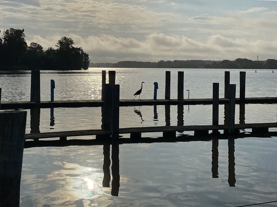 Beauty & Serenity On The Eastern Shore