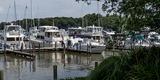 Beauty & Serenity On The Eastern Shore